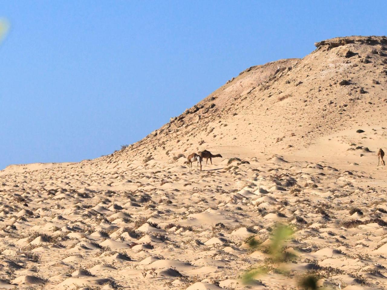 מלון Dakhla Kitesurf World מראה חיצוני תמונה